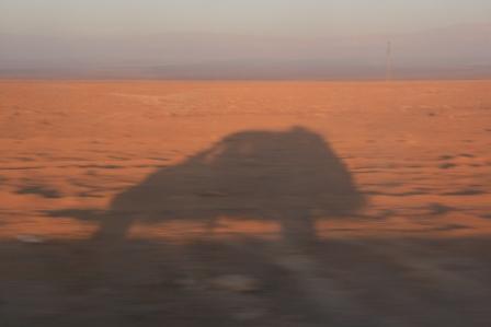 Schatten von BIK-Theo: Wie ein kleiner Kombi...